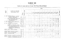 10129_OBJ-Thumbnail Image.jpg