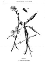 10192_OBJ-Thumbnail Image.jpg