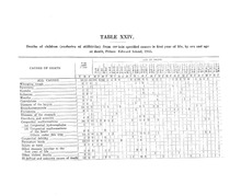 10241_OBJ-Thumbnail Image.jpg