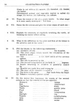 10385_OBJ-Thumbnail Image.jpg