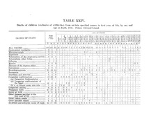 10394_OBJ-Thumbnail Image.jpg