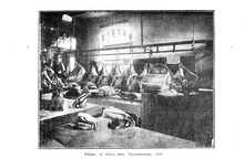 10505_OBJ-Thumbnail Image.jpg