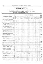 10593_OBJ-Thumbnail Image.jpg