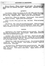 10598_OBJ-Thumbnail Image.jpg