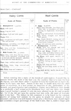 10604_OBJ-Thumbnail Image.jpg