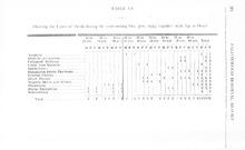 10660_OBJ-Thumbnail Image.jpg