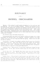 10810_OBJ-Thumbnail Image.jpg