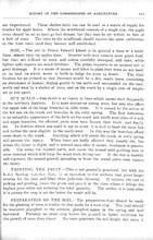 10892_OBJ-Thumbnail Image.jpg