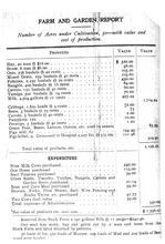 10919_OBJ-Thumbnail Image.jpg