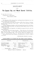 10979_OBJ-Thumbnail Image.jpg