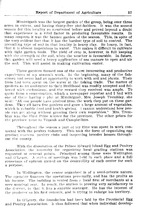 11013_OBJ-Thumbnail Image.jpg