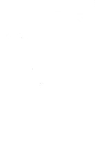 11017_OBJ-Thumbnail Image.jpg
