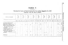 11105_OBJ-Thumbnail Image.jpg