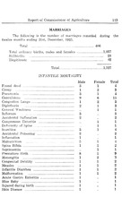 11198_OBJ-Thumbnail Image.jpg