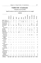 11338_OBJ-Thumbnail Image.jpg