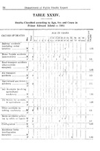 11382_OBJ-Thumbnail Image.jpg