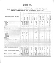 11534_OBJ-Thumbnail Image.jpg