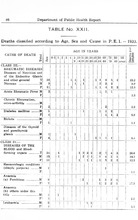 11752_OBJ-Thumbnail Image.jpg