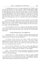 11885_OBJ-Thumbnail Image.jpg
