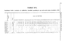 11965_OBJ-Thumbnail Image.jpg
