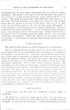 12445_OBJ-Thumbnail Image.jpg