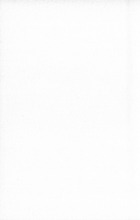 1248_OBJ-Thumbnail Image.jpg