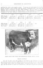 12507_OBJ-Thumbnail Image.jpg