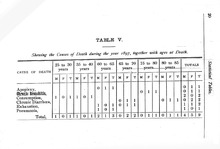 12518_OBJ-Thumbnail Image.jpg
