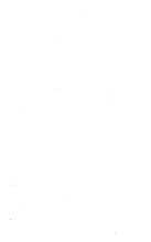 12534_OBJ-Thumbnail Image.jpg