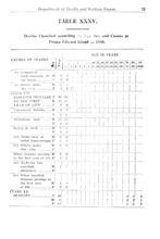 12678_OBJ-Thumbnail Image.jpg
