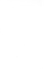 12766_OBJ-Thumbnail Image.jpg
