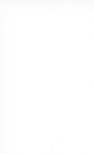 12798_OBJ-Thumbnail Image.jpg