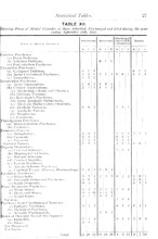 13005_OBJ-Thumbnail Image.jpg