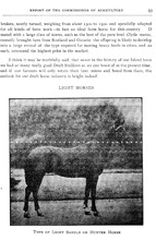 13058_OBJ-Thumbnail Image.jpg