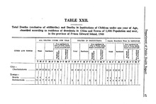 13176_OBJ-Thumbnail Image.jpg