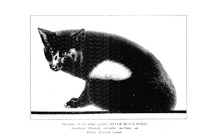 1324_OBJ-Thumbnail Image.jpg