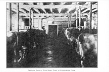 13257_OBJ-Thumbnail Image.jpg