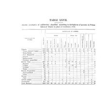 13290_OBJ-Thumbnail Image.jpg
