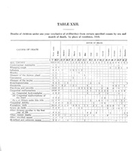 13312_OBJ-Thumbnail Image.jpg