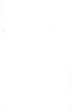 13358_OBJ-Thumbnail Image.jpg