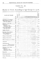 13364_OBJ-Thumbnail Image.jpg