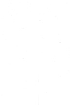 1336_OBJ-Thumbnail Image.jpg