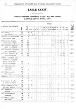 13532_OBJ-Thumbnail Image.jpg