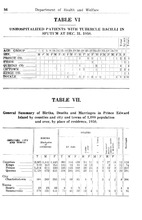 13556_OBJ-Thumbnail Image.jpg