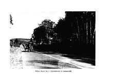 13594_OBJ-Thumbnail Image.jpg