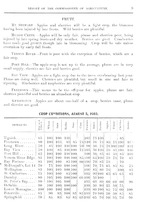 13633_OBJ-Thumbnail Image.jpg