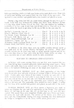 13806_OBJ-Thumbnail Image.jpg