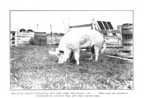 13850_OBJ-Thumbnail Image.jpg