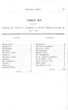 13875_OBJ-Thumbnail Image.jpg