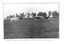 13895_OBJ-Thumbnail Image.jpg